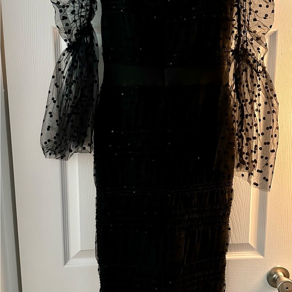 Black Midi Dress with Sheer Dotted Sleeves - Picture 7 of 10